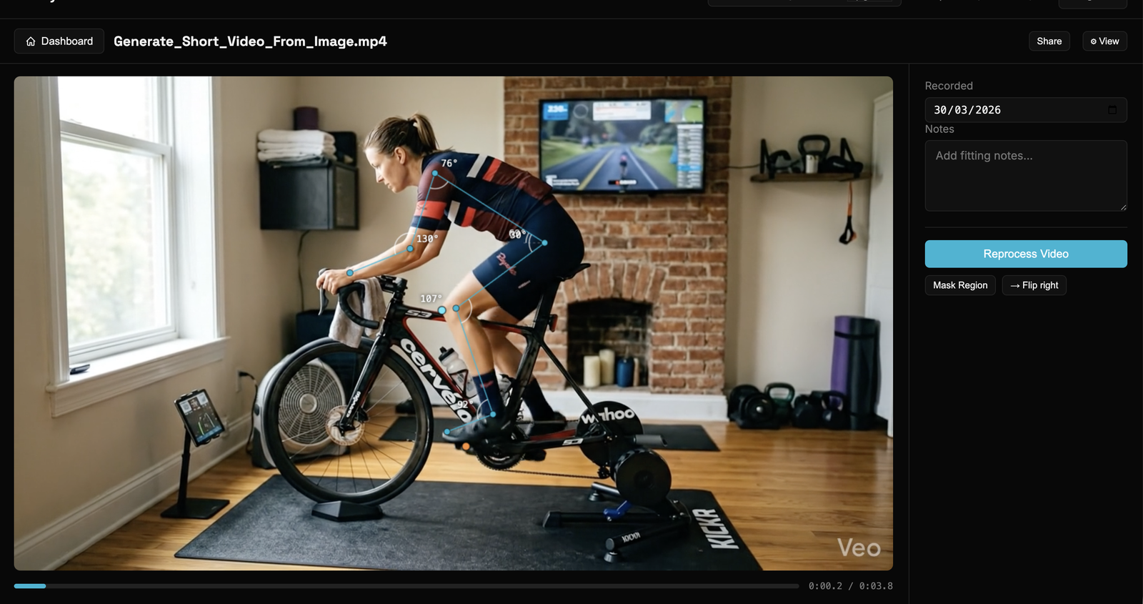 Analysis page — video with skeleton overlay, sidebar with reprocess and mask controls